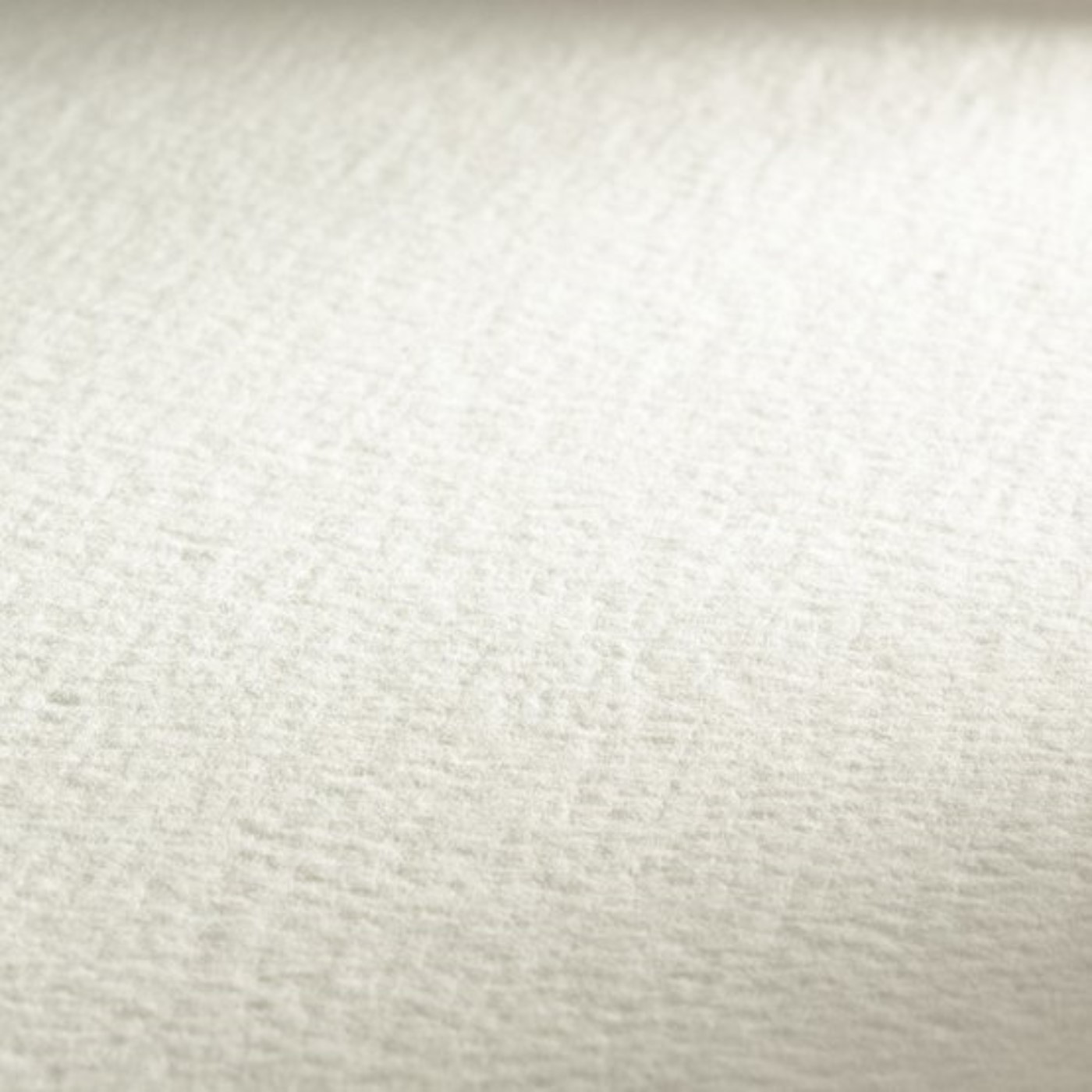 Hahnemuhle, Leonardo Watercolour, fogli sfusi, grana grossa, 56 x 76 cm, 600 gr.