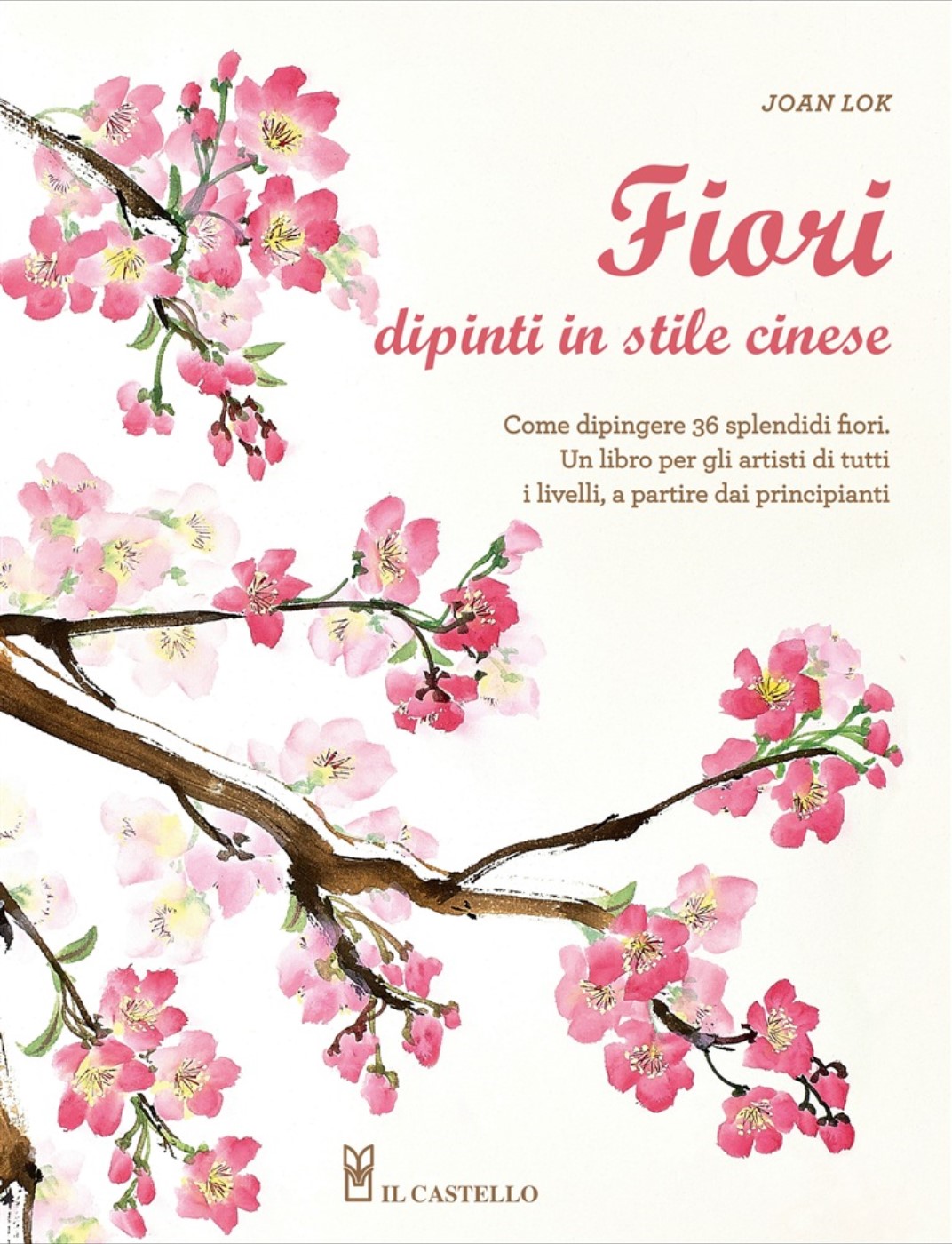 Fiori dipinti in stile cinese, libro