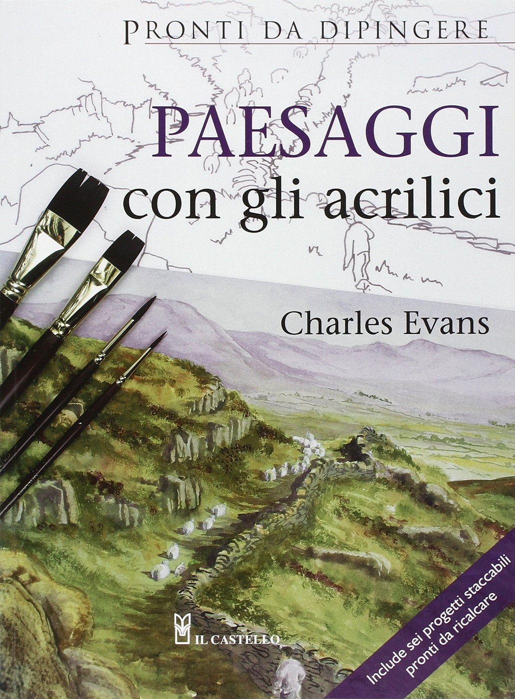 Paesaggi con gli Acrilici, libro