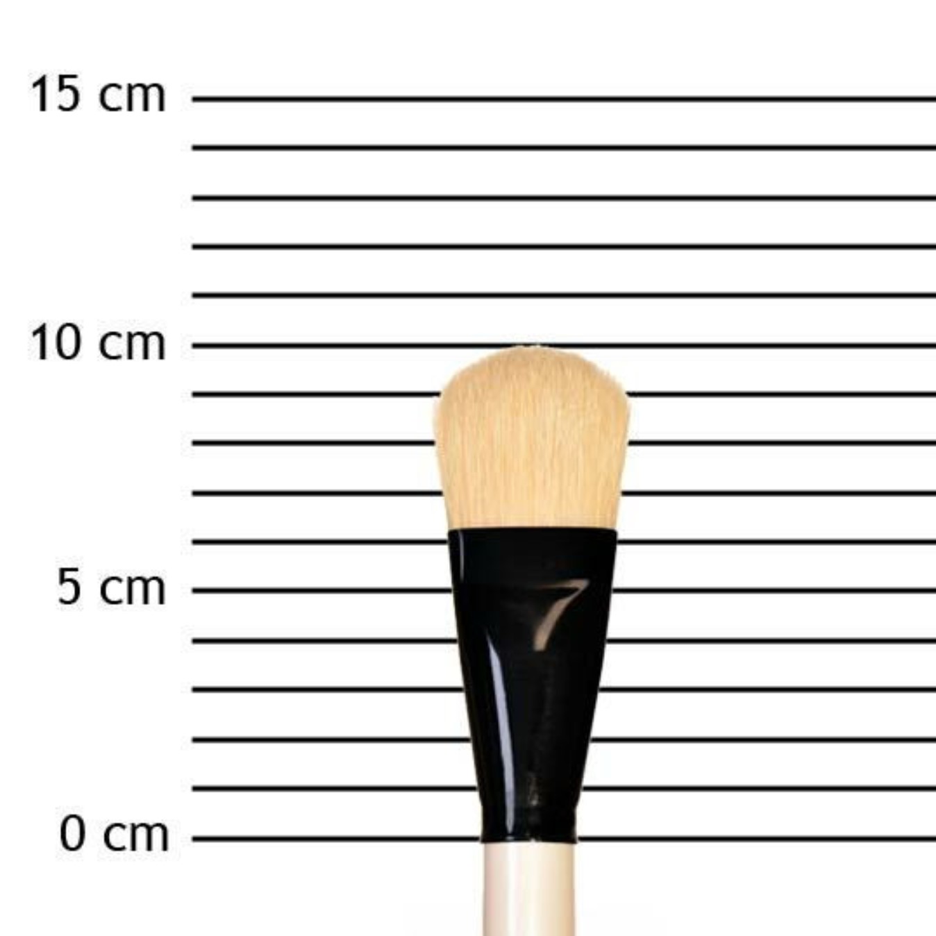 Pennello Graduate XL, setola colore naturale lingua di gatto, 30