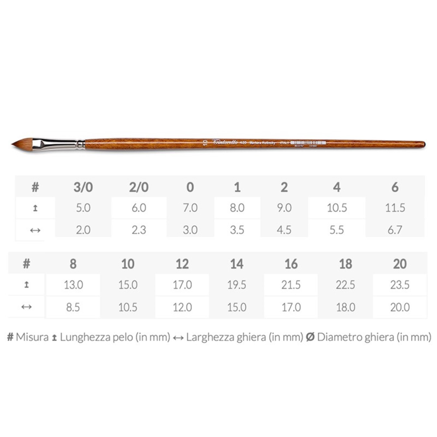 Tintoretto, Martora Kolinsky, pennello lingua di gatto, serie 420