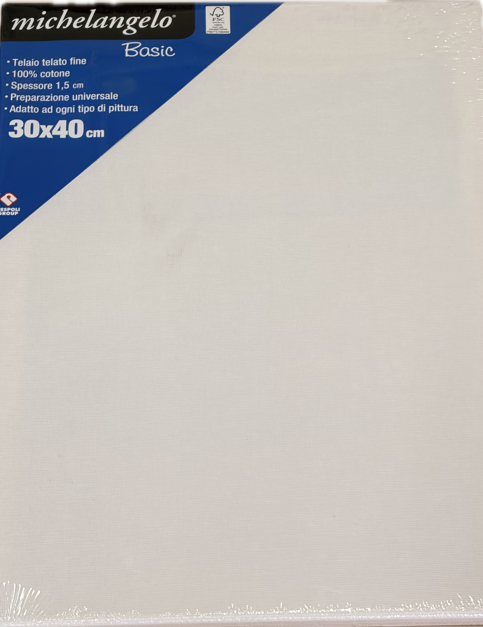 Tela per pittura 30x40 per studenti e hobbisti